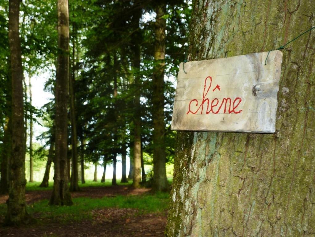 Chambres d'Hôtes La Corne aux Vaches Frétigney-et-Velloreille Exterior foto
